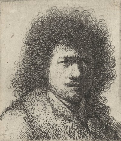 Self-Portrait with Untidy Hair, 1628-31 by Rembrandt van Rijn